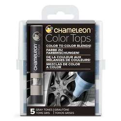 Chameleon - Chameleon Color Tops Marker Kalem 5li Set Gray Tones